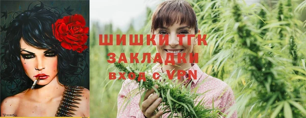 мдпв Михайловск