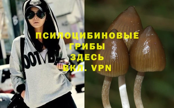 прущий лед Михайлов